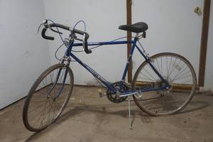 coast king bike