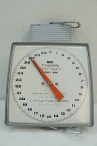 Hanson dairy scale