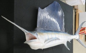 lot 9 image: LARGE SWORD FISH MOUNT