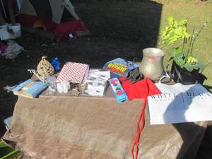 Artificial plant, gift bags and acc...