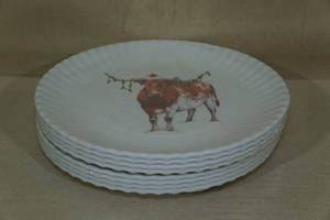 8 Its Not Paper Dishwasher Safe Plates