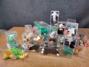 (27) Beanie Babies in Cases