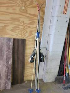 lot 1021 image: Cross Country Skis with Shoes - Skis Measure 81 Long, Shoes are Unknown Size - NO SHIPPING