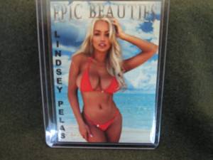 lot 55 image: Lindsey Pelas Epic Beauties Card...