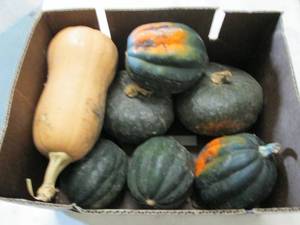 lot 389 image: Box of Assorted Winter Squash...