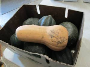 lot 391 image: Box of Assorted Winter Squash...