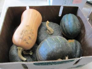 lot 392 image: Box of Assorted Winter Squash...