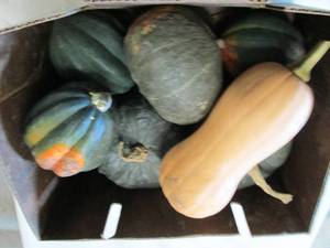 lot 393 image: Box of Assorted Winter Squash...