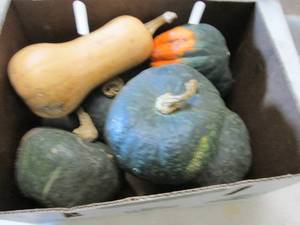 lot 394 image: Box of Assorted Winter Squash...