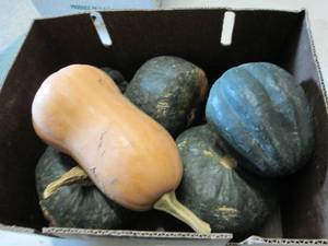 lot 395 image: Box of Assorted Winter Squash...