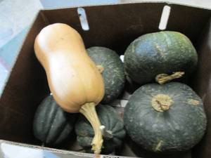 lot 396 image: Box of Assorted Winter Squash...
