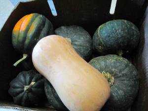 lot 397 image: Box of Assorted Winter Squash...