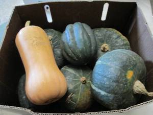 lot 399 image: Box of Assorted Winter Squash...