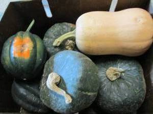 lot 400 image: Box of Assorted Winter Squash...