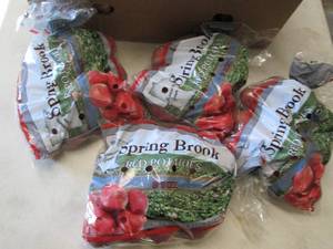 lot 412 image: 4- 3lb Bags Spring Brook Size B Red...