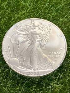 2022 1oz .999 Silver Eagle Round