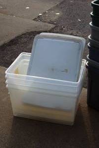 lot 920 image: Lot of (3) Clear Storage Bins with Lids