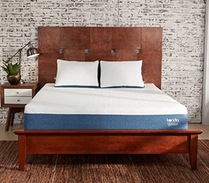 Brand New Tanda Complete Cool 10 Memory Foam Queen Mattress
