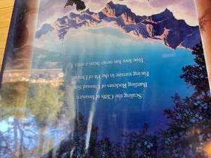 lot 224 image: The Princess Bride Framed Movie Poster