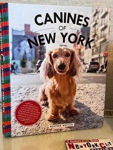 lot 99A image: New York Items Including Jeannie Maizels New York Book