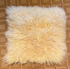 lot 111 image: Pair of Furry Accent Pillows