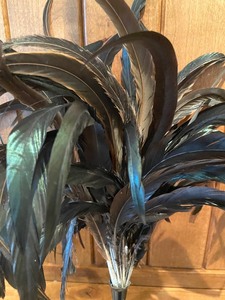 lot 187 image: Trio of Feather Groupings from Chazin Interiors
