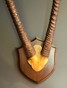 lot 180 image: Fantastic Faux Antelope Antler Decor
