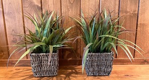 lot 194 image: Calming Decor and More