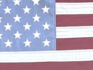 lot 195 image: Amazing American Flag Shadowbox Wall Decor