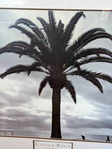lot 80 image: Large Framed Palm Tree PhotoPrint
