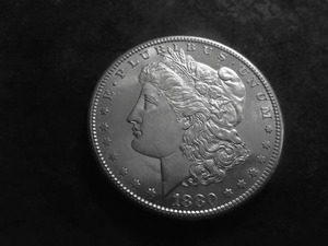 1880 S Morgan Silver Dollar