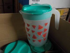 Case of 26 Watermelon Plastic Gallo...