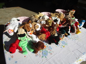 lot 48 image: Ty Beanies