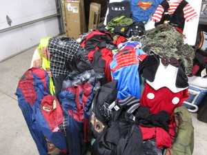 lot 254 image: Halloween Costumes
