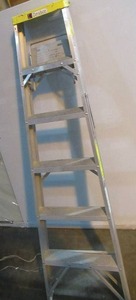Davidson 6 Aluminum Step Ladder, 250 lb Type I