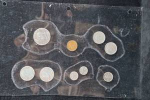 Norwegian Coins