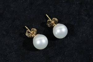14K Yellow Gold Pearl Stud Earrings