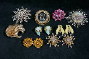 Clip On Earrings and Brooches