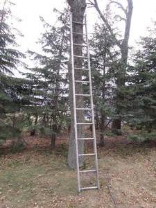 lot 268 image: 12.5ft aluminum rung ladder, 1 rung...