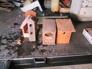 lot 572 image: Bird houses and feeders...