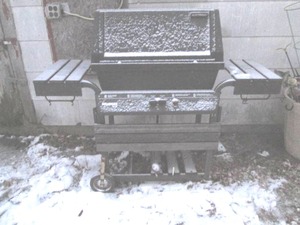 lot 289 image: Sunbeam gas grill...