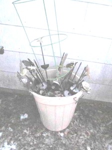 lot 290 image: Garbage can full of beautiful lawn...