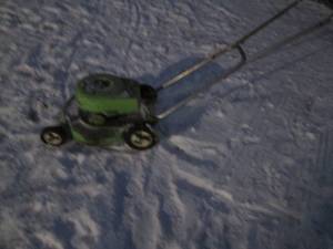 lot 295 image: Lawn-Boy push mower...