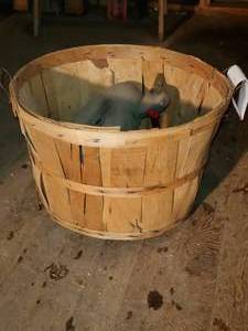 lot 439 image: Basket w duck decoy and 4 De-Sta-C...