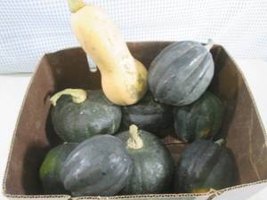 lot 113 image: (EC2) Box of Assorted Squash (Qty. ...