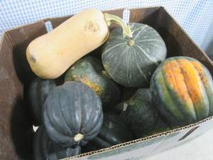 lot 114 image: (EC2) Box of Assorted Squash (Qty. ...
