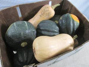 lot 117 image: (EC2) Box of Assorted Squash (Qty. ...