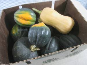 lot 118 image: (EC2) Box of Assorted Squash (Qty. ...