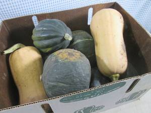 lot 120 image: (C-2) Box of Assorted Squash (Qty. ...