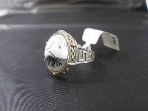 lot 179 image: (FS) Dendritic Agate Ring Size 9...